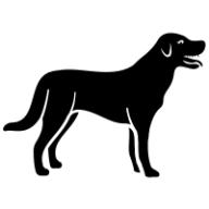 Dog Breed Classifier